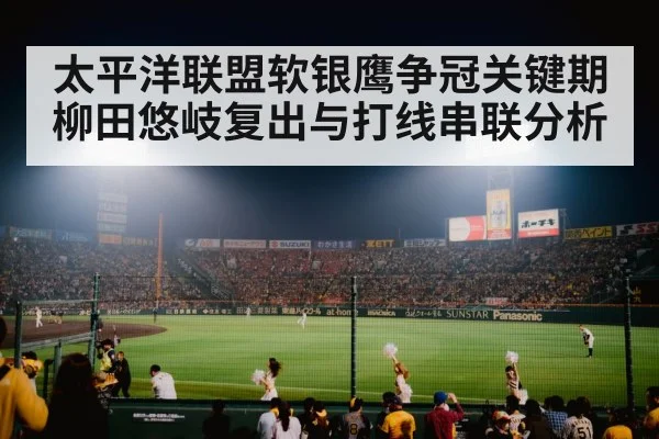 baseball stadium night game